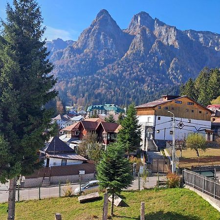 Vila PANORAMIC Buşteni Exterior foto