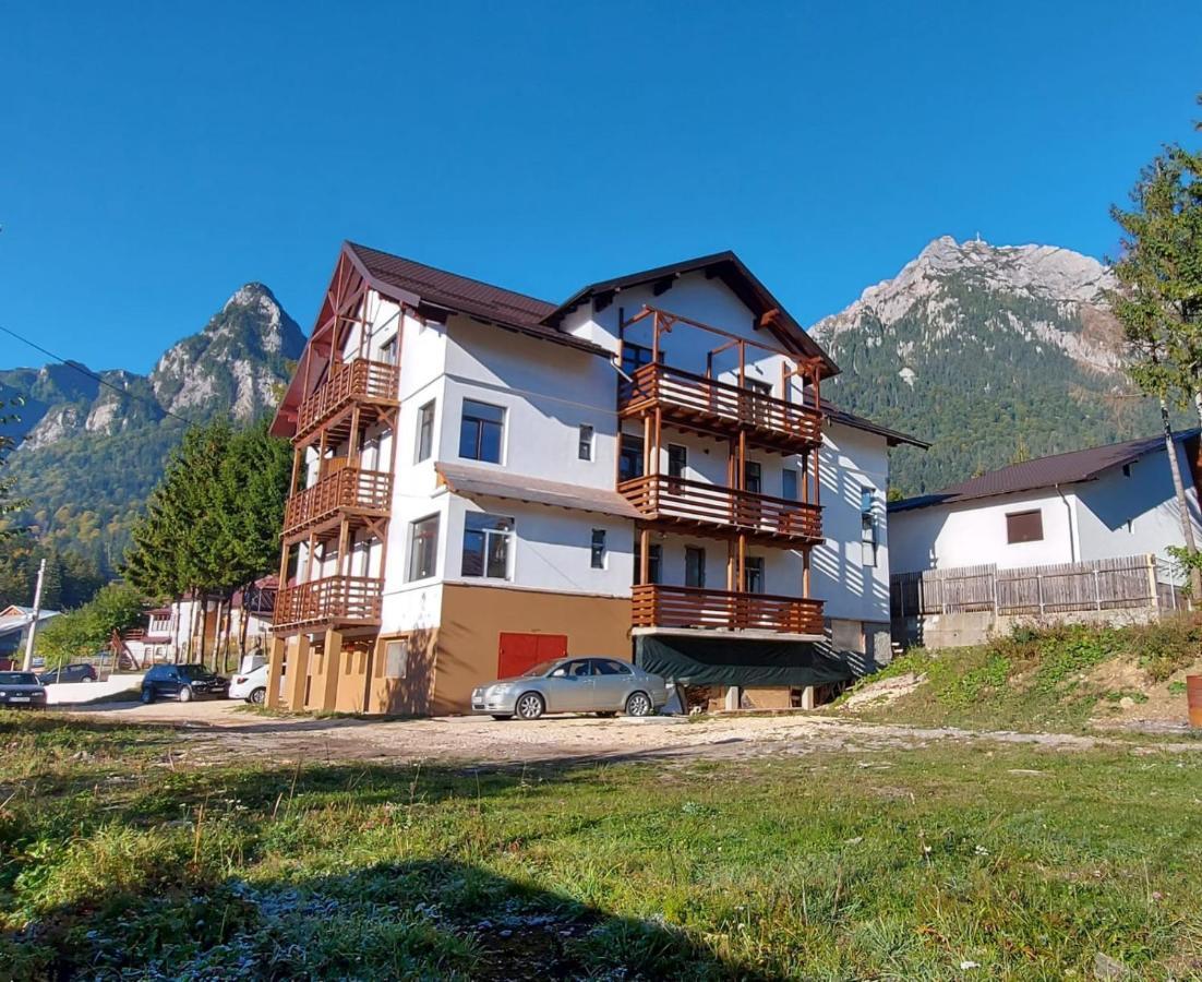 Vila PANORAMIC Buşteni Exterior foto